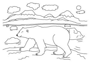 Ayı boyama sayfası, Bear coloring page, , 