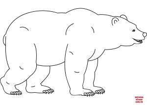 Ayı boyama sayfası, Bear coloring page, , Bears Funny Bear