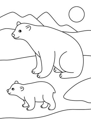 Ayı boyama sayfası, Bear coloring page, , 