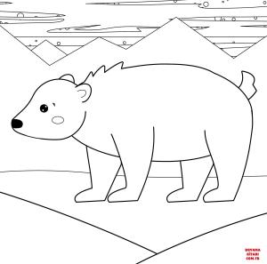 Ayı boyama sayfası, Bear coloring page, , Bears Polar Bear