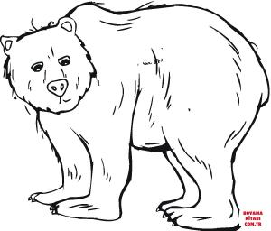 Ayı boyama sayfası, Bear coloring page, , Bears Grizzly Bear
