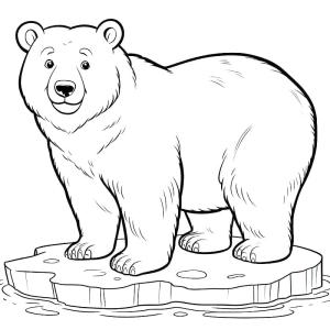 Ayı boyama sayfası, Bear coloring page, , 