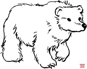Ayı boyama sayfası, Bear coloring page, , Bears Brown Bear