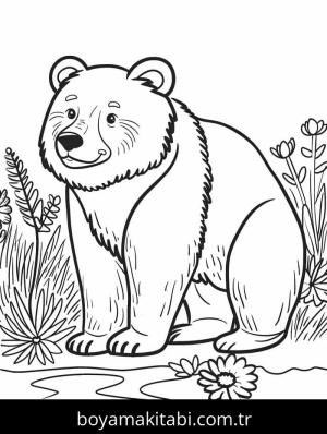 Ayı boyama sayfası – boyama çalışması, yaratıcılığı geliştirir