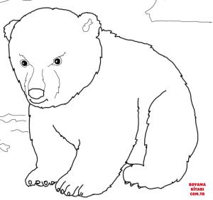 Ayı boyama sayfası, Bear coloring page, , Bears Cute Polar Bear Cub