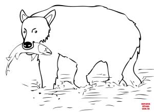 Ayı boyama sayfası, Bear coloring page, , Bears Brown Bear Catch The Salmon