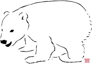 Ayı boyama sayfası, Bear coloring page, , Bears Polar Bear