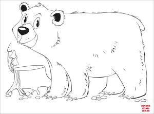 Ayı boyama sayfası, Bear coloring page, , Bears Bear