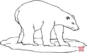 Ayı boyama sayfası, Bear coloring page, , Bears Polar Bear