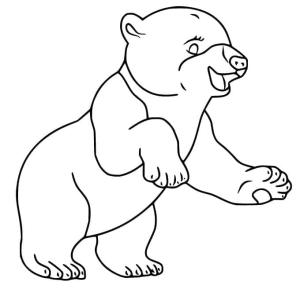 Ayı boyama sayfası, Bear coloring page, , 