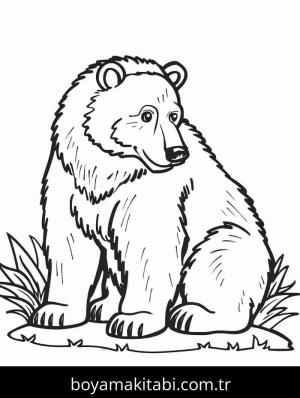 Ayı boyama sayfası – sanatsal çalışma, çocuklar için