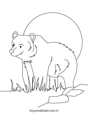 Ayı boyama sayfası – boyama etkinliği, çocuk aktivitesi