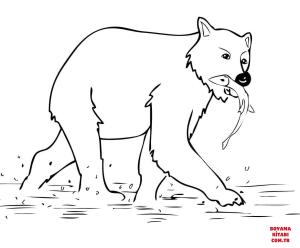 Ayı boyama sayfası, Bear coloring page, , Bears Young Brown Bear