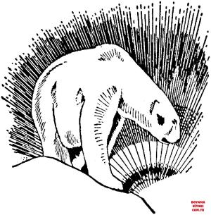 Ayı boyama sayfası, Bear coloring page, , Bears Polar Bear See A Light