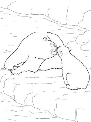 Ayı boyama sayfası, Bear coloring page, , Bears Polar Bear Baby And Mother