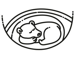 Ayı boyama sayfası, Bear coloring page, , Bears Bear Den