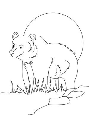 Ayı boyama sayfası, Bear coloring page, Gülümseyen Boz Ayı, 