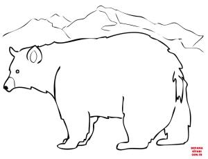 Ayı boyama sayfası, Bear coloring page, , Bears Black Bear