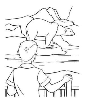 Ayı boyama sayfası, Bear coloring page, , 