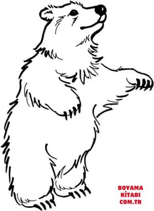 Ayı boyama sayfası, Bear coloring page, , Bears Brown Bear