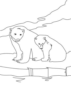 Ayı boyama sayfası, Bear coloring page, , 