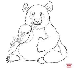 Ayı boyama sayfası, Bear coloring page, , Bears Funny Panda