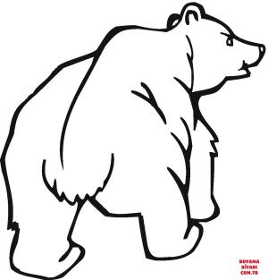 Ayı boyama sayfası, Bear coloring page, , Bears Grizzly Bear