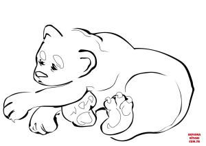 Ayı boyama sayfası, Bear coloring page, , Bears Bear Sketch