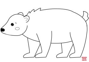 Ayı boyama sayfası, Bear coloring page, , Bears Cute Bear