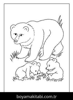 Ayı boyama sayfası – renkli çizimler, okul öncesi