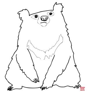 Ayı boyama sayfası, Bear coloring page, , Bears Indian Sloth Bear