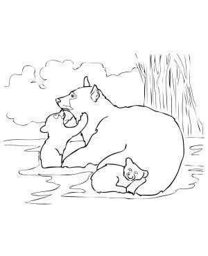 Ayı boyama sayfası, Bear coloring page, , Bears American Black Bear Family