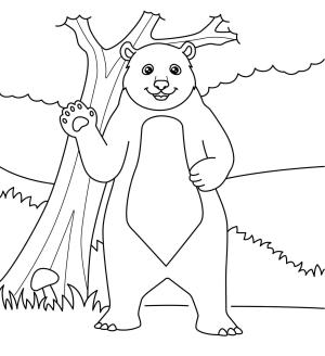 Ayı boyama sayfası, Bear coloring page, Ayı Ayakta, 