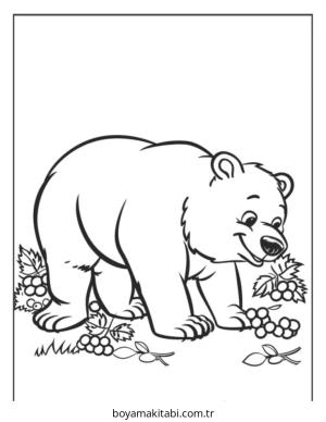 Ayı boyama sayfası – ücretsiz yazdır, boyama etkinliği