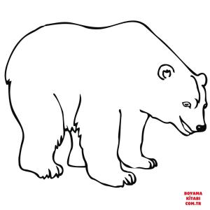 Ayı boyama sayfası, Bear coloring page, , Bears Polar Bear