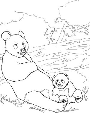 Ayı boyama sayfası, Bear coloring page, , Bears Panda Mother With Baby Panda