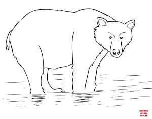 Ayı boyama sayfası, Bear coloring page, , Bears Alaska Brown Bear