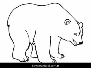 Ayı boyama sayfası – çocuk aktivitesi, PDF indir