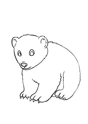 Ayı boyama sayfası, Bear coloring page, Küçük Ayı ücretsiz, 