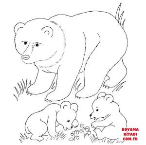 Ayı boyama sayfası, Bear coloring page, , Bears Bear Mother And Bear Cubs