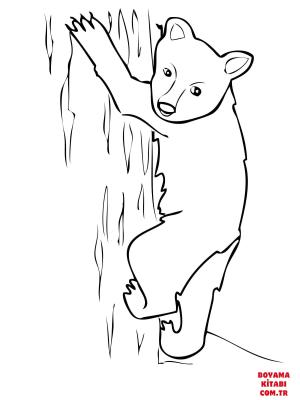 Ayı boyama sayfası, Bear coloring page, , Bears American Black Bear Cub