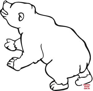 Ayı boyama sayfası, Bear coloring page, , Bears Brown Bear