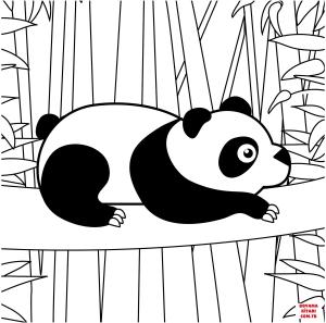 Ayı boyama sayfası, Bear coloring page, , Bears Panda