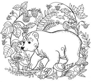 Ayıcık boyama sayfası,  coloring page, Bir Ayı, 