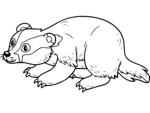 Badger boyama sayfası,  coloring page, Küçük Porsuk, 