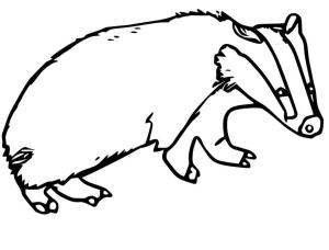 Badger boyama sayfası,  coloring page, Havalı Porsuk, 