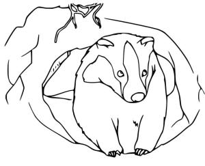 Badger boyama sayfası,  coloring page, Yazdırılabilir Porsuk, 