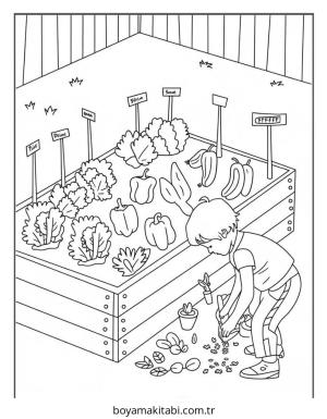 Bahçe boyama sayfası – yaratıcılığı geliştirir, keyifli zaman