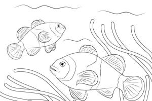 Balık boyama sayfası,  coloring page, Mercan balığı, 