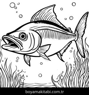 Balık boyama sayfası,  coloring page, , 